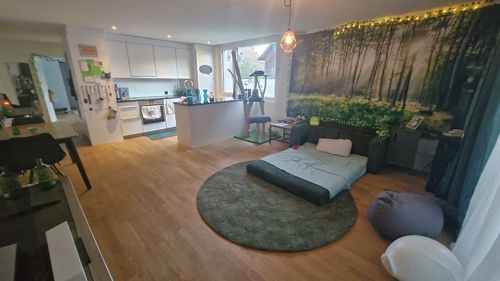 2½ Zimmer-Wohnung in Reinach (AG), möbliert, auf Zeit