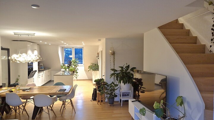 3½ room apartment in Zürich - Kreis 4, furnished, temporary