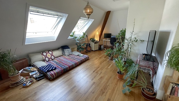 3½ room attic apartment in Winterthur - Stadt, furnished, temporary