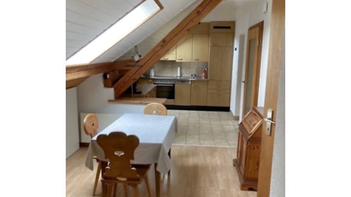 2½ room attic apartment in Urtenen-Schönbühl (BE), furnished