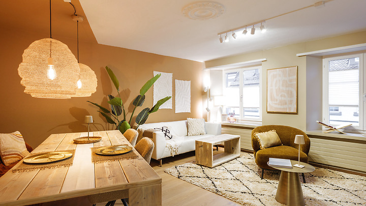 Appartement 2 pièces à Steckborn (TG), meublé