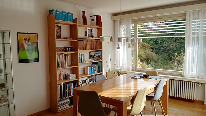6½ room house in Rapperswil (SG), furnished, temporary