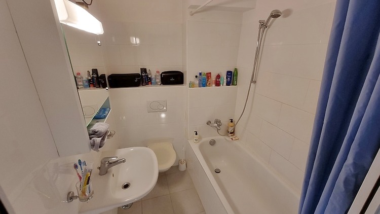 Picture 8