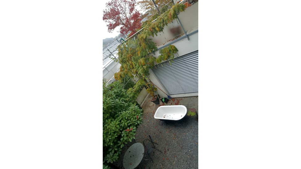 Bild 10