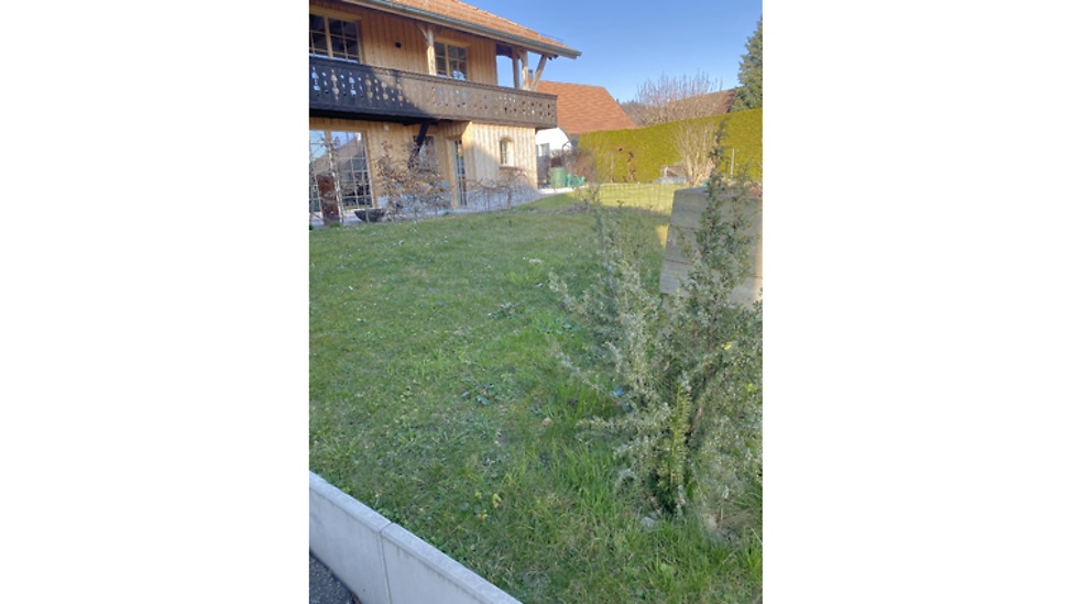Bild 19