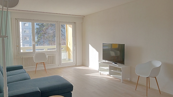 5 room apartment in Volketswil (ZH), furnished