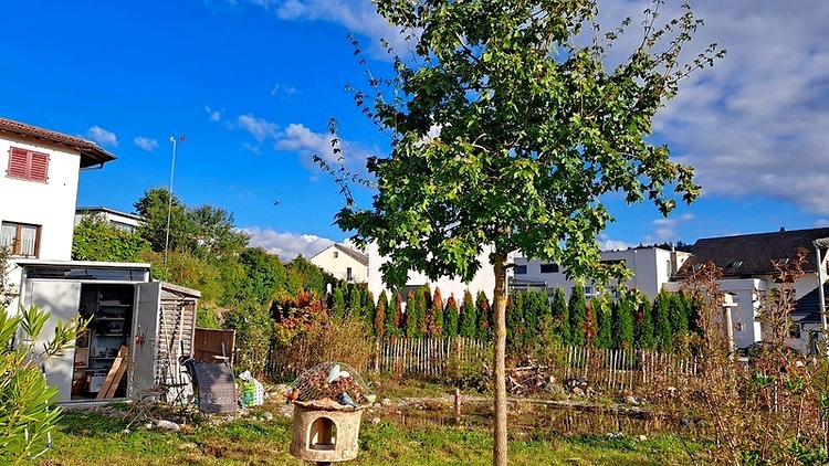 Bild 8
