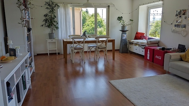 Appartement 3½ pièces à Küsnacht (ZH), meublé, durée déterminée
