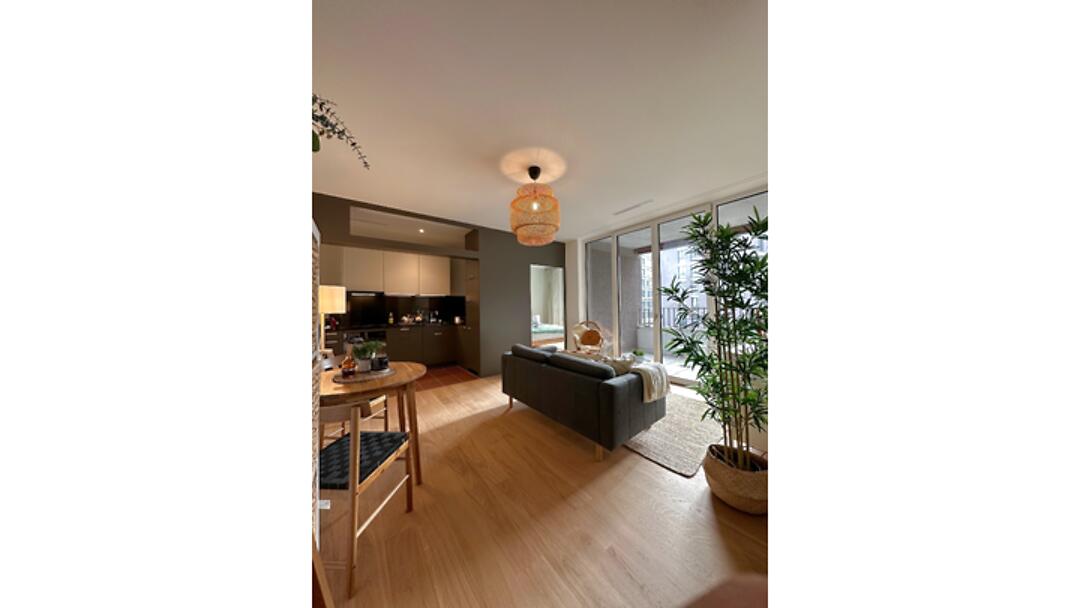 2½ room apartment in Zürich - Kreis 2, furnished, temporary