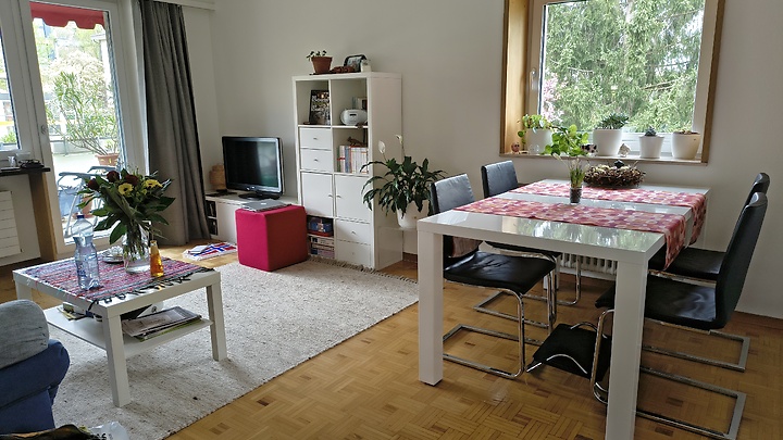 3½ Zimmer-Wohnung in Winterthur - Seen, möbliert, auf Zeit