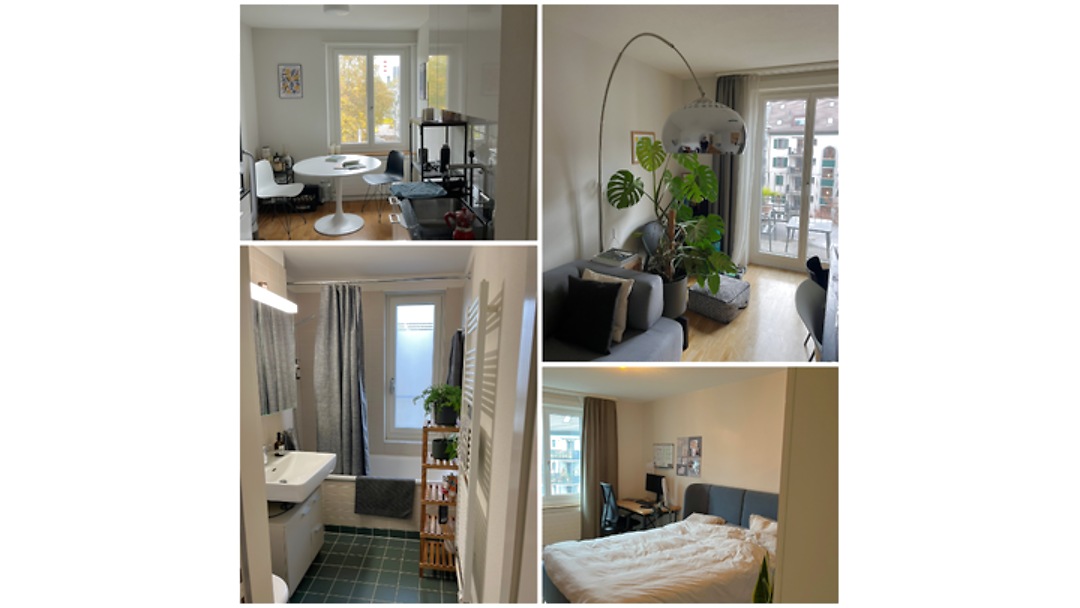 2 room apartment in Zürich - Kreis 4, furnished, temporary