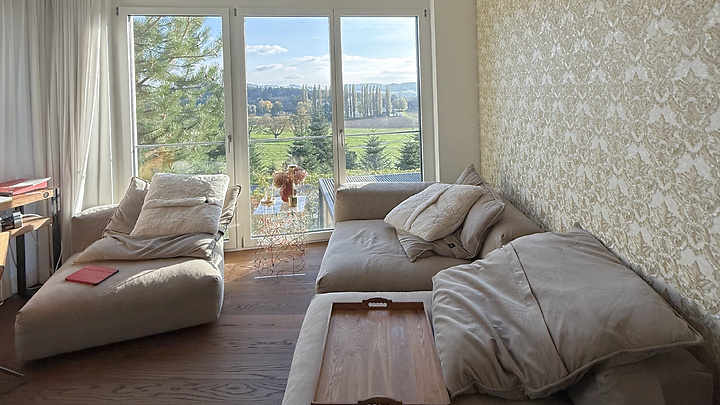 5½ room apartment in Uitikon Waldegg (ZH), furnished, temporary