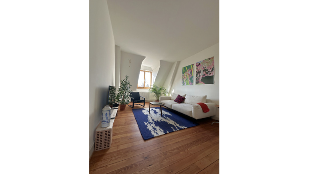 3½ Zimmer-Wohnung in Basel - Iselin, möbliert, auf Zeit