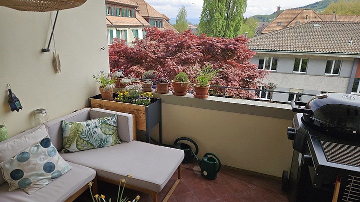 Appartement 3½ pièces à Bern - Mattenhof, meublé, durée déterminée