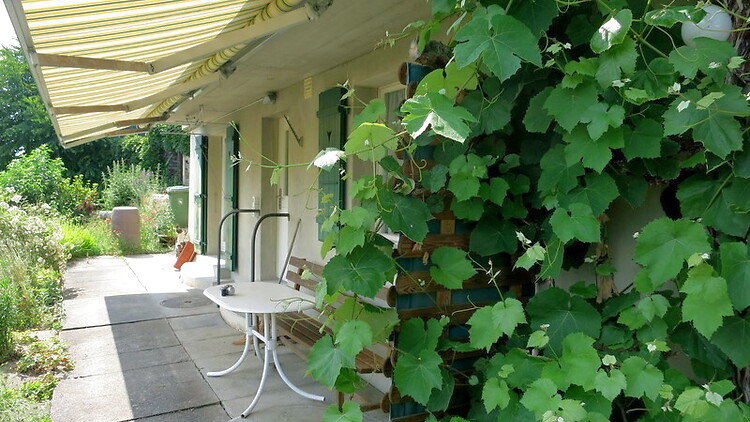 Bild 7