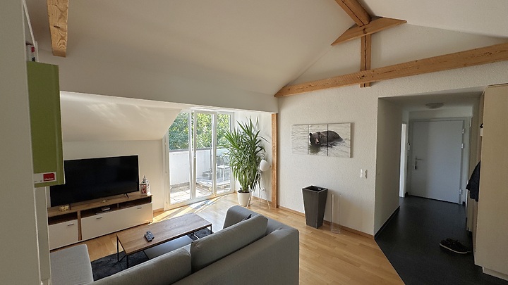 2½ room apartment in Bern - Altenberg, furnished, temporary