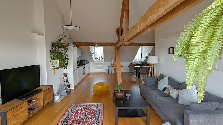 3½ Zimmer-Wohnung in Basel - Bachletten/Gotthelf, möbliert, auf Zeit