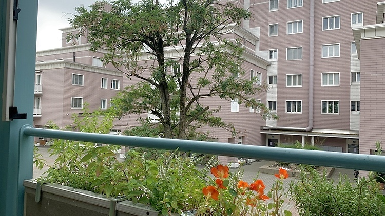 Picture 6