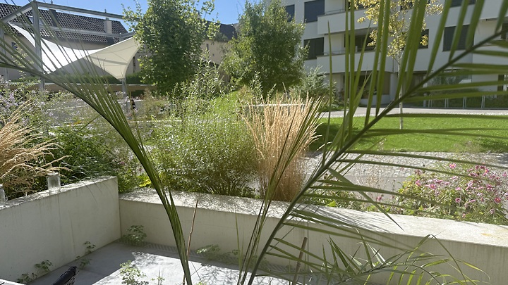 Appartement 3 pièces à Allenwinden (ZG), meublé, durée déterminée