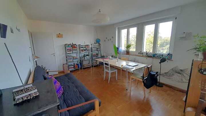 2 room apartment in Basel - St. Johann, furnished, temporary