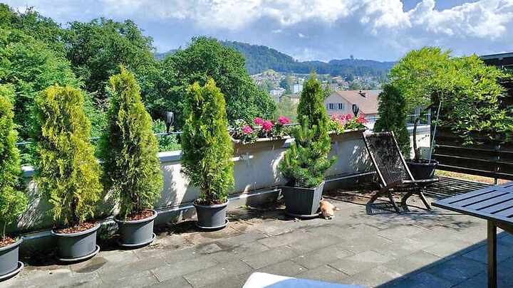 2 Zimmer-Wohnung in Bern - Liebefeld, möbliert, auf Zeit