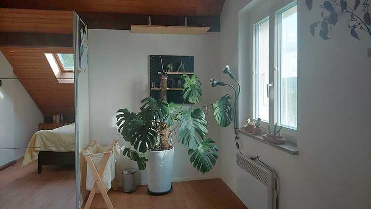 Picture 4