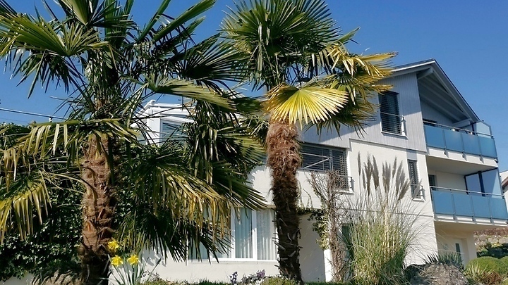 Appartement 2 pièces à Merlischachen (SZ), meublé, durée déterminée