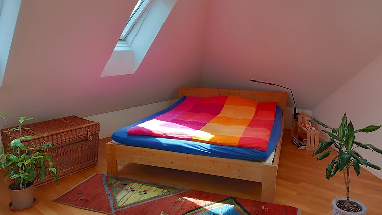 Picture 5