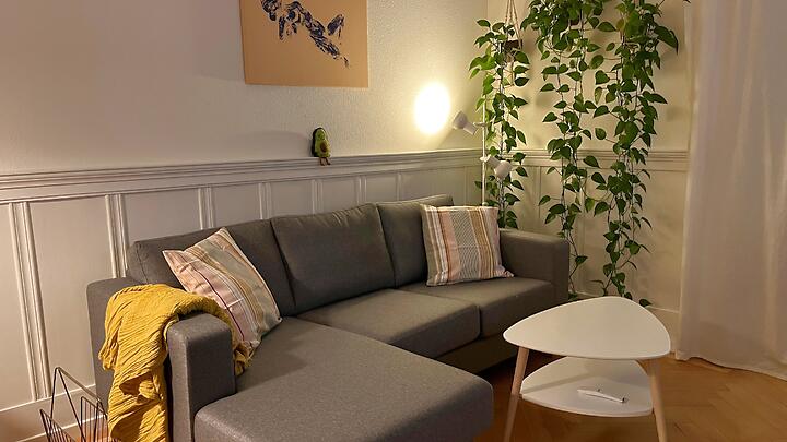 Appartement 4 pièces à Zürich - Kreis 6 Unterstrass, meublé, durée déterminée