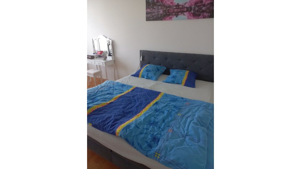 Picture 5