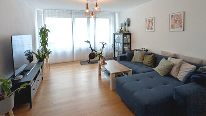 Appartement 2½ pièces à Luzern, meublé, durée déterminée