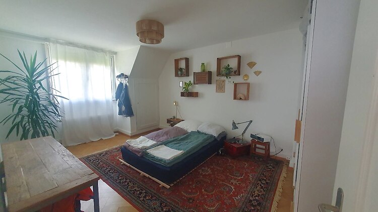 Picture 4