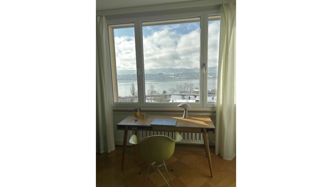 Appartement 4½ pièces à Zürich - Kreis 8 Riesbach, meublé, durée déterminée