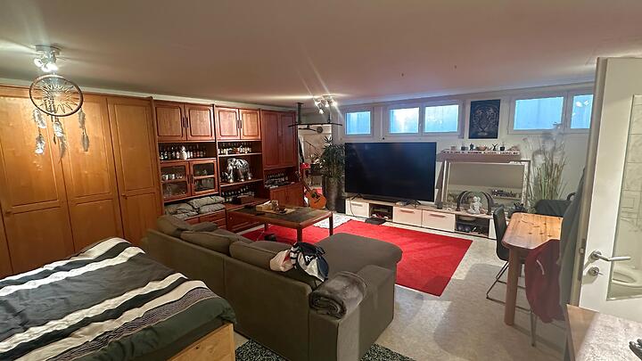 Studio in Zürich - Kreis 7, furnished, temporary