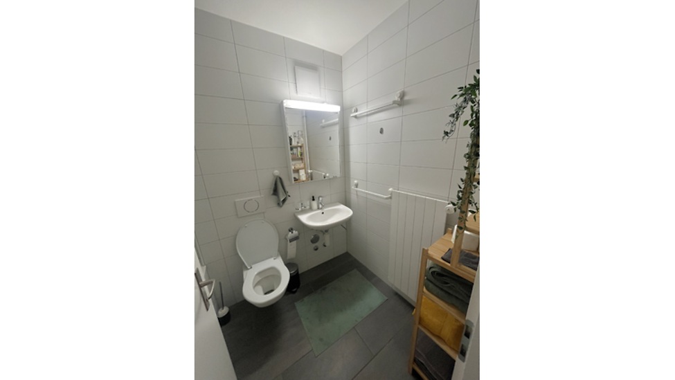 Picture 7