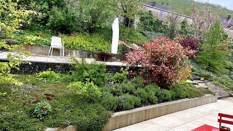 Picture 10