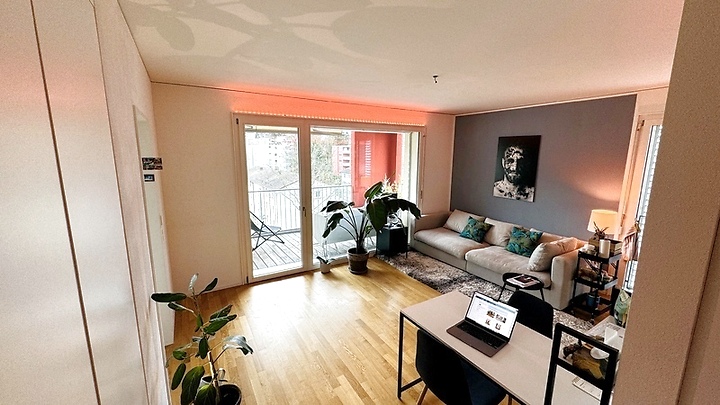 Appartement 2 pièces à Zürich - Schlieren, meublé, durée déterminée