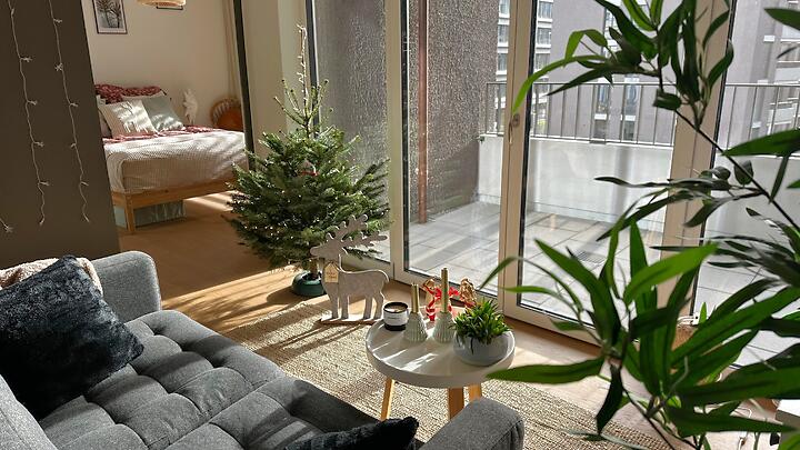 2½ room apartment in Zürich - Kreis 2, furnished, temporary