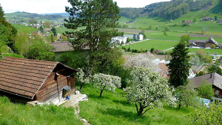 Bild 9