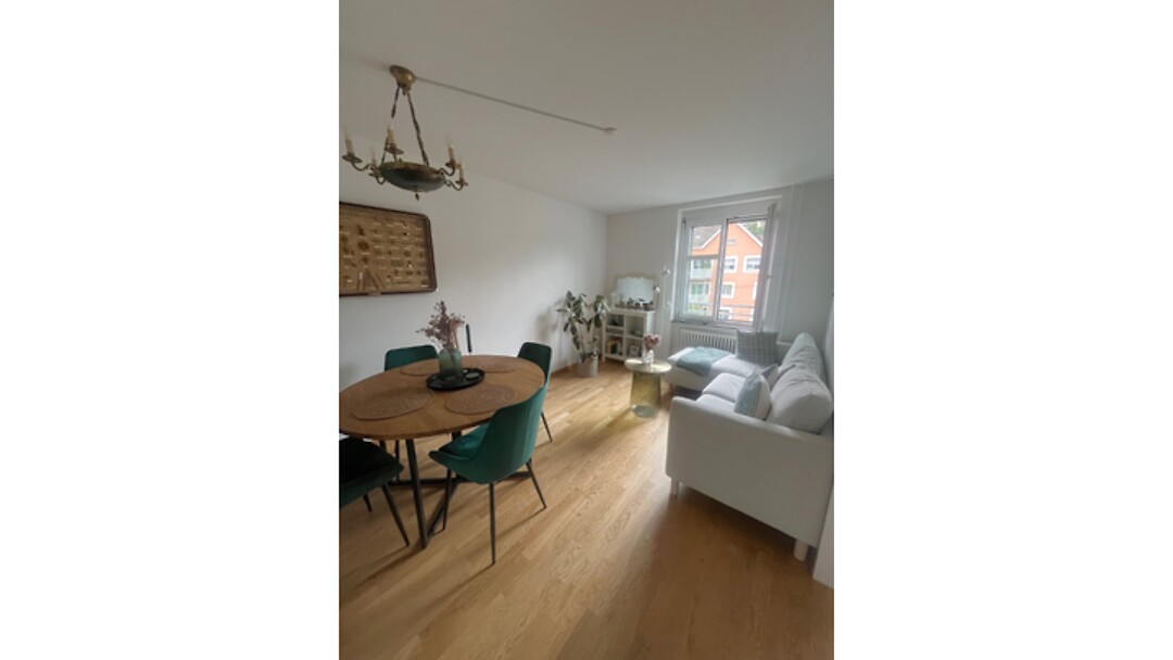 Appartement 3 pièces à Zürich - Kreis 3, meublé, durée déterminée