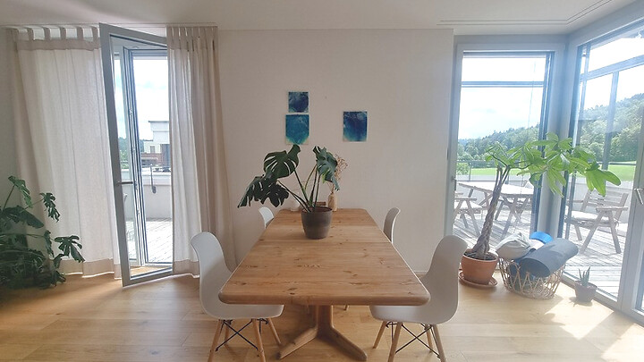 2½ room attic apartment (penthouse) in Winterthur - Töss, furnished, temporary