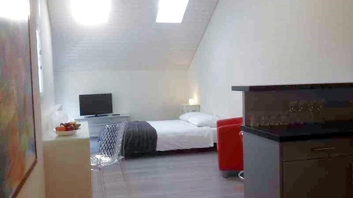 Studio in Lausanne - Pully, furnished
