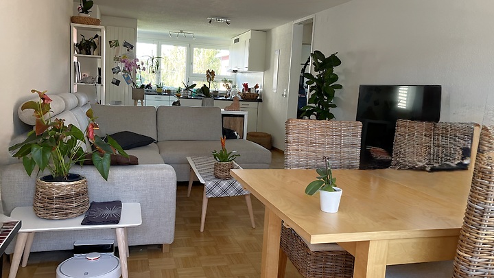 3½ Zimmer-Wohnung in Effretikon (ZH), möbliert, auf Zeit