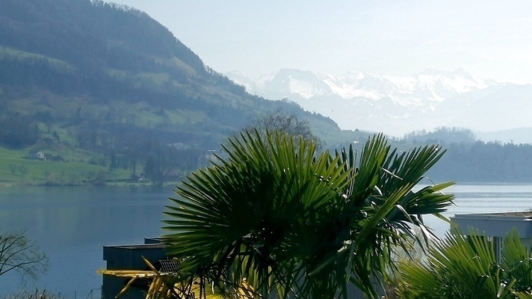 Bild 10