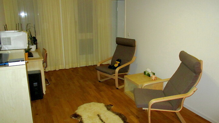 1 room apartment in Pratteln (BL), furnished