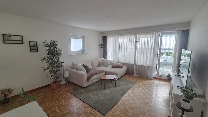 2 room apartment in Luzern, furnished, temporary