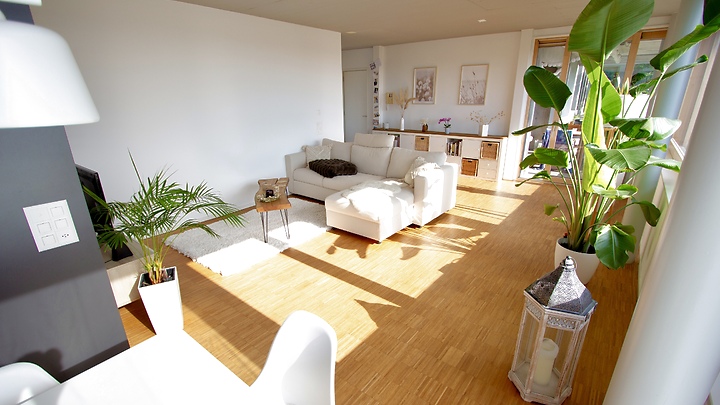 3½ room apartment in Baar (ZG), furnished, temporary
