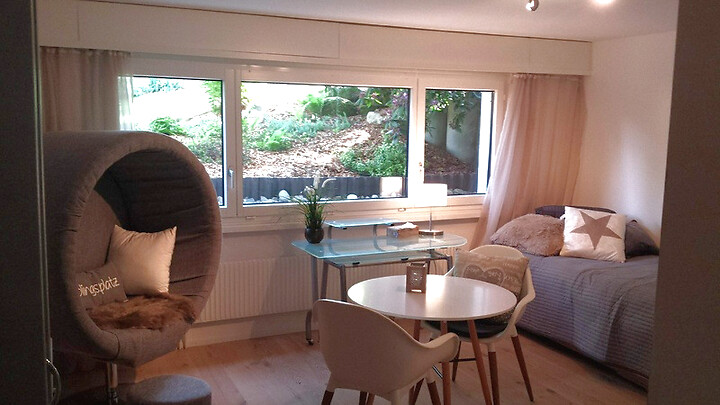 Studio in Münchringen (BE), furnished