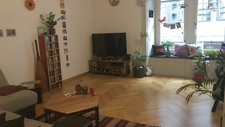 3½ Zimmer-Wohnung in Luzern, möbliert, auf Zeit