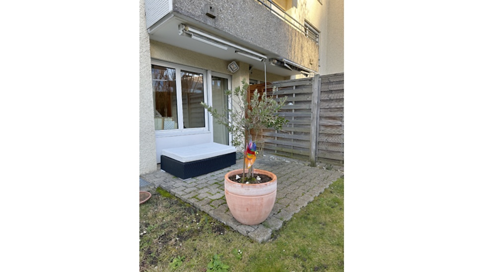 Picture 8